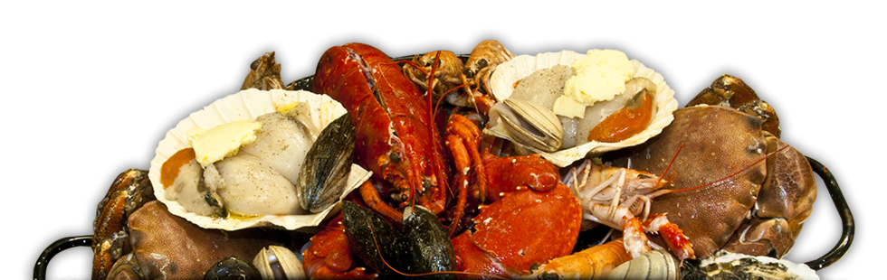Header image showing a selection roasted platter, roasted shellfish and lobster mayonnaise